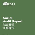 Social Audit Report